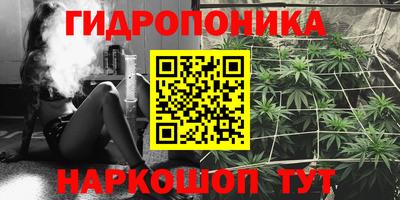 jwh Пушкино