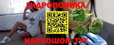 jwh Пушкино