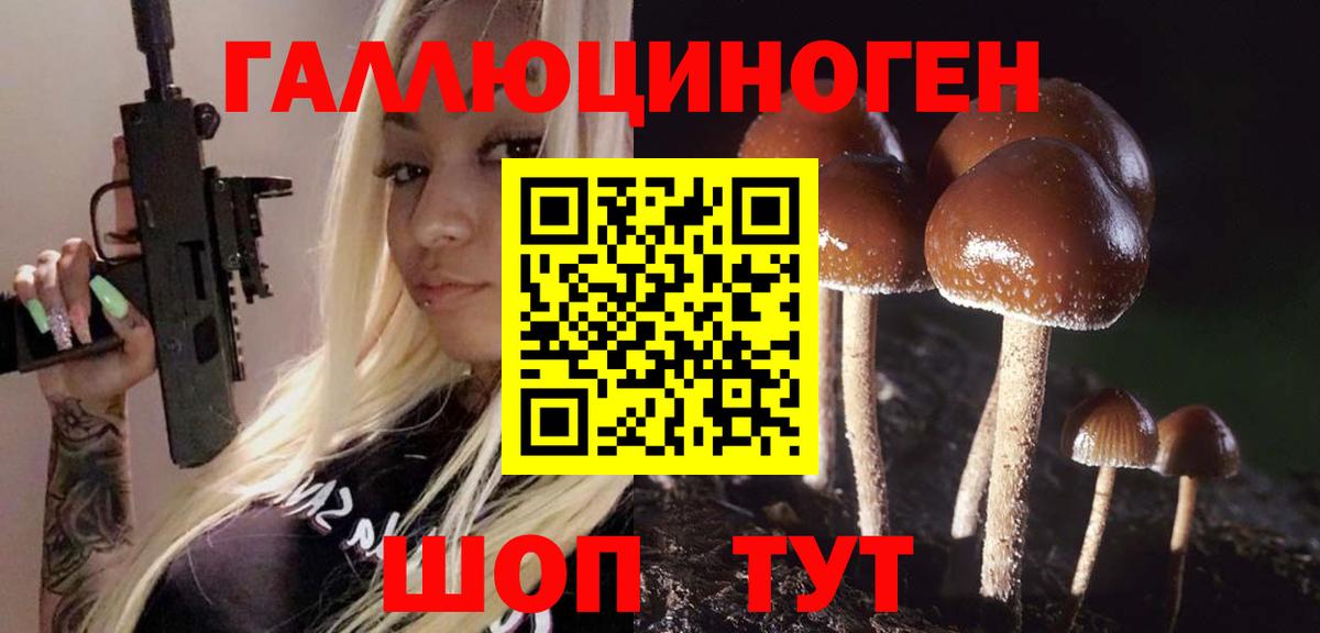 Сорочинск  Псилоцибиновые грибы мухоморы  Вход с VPN 