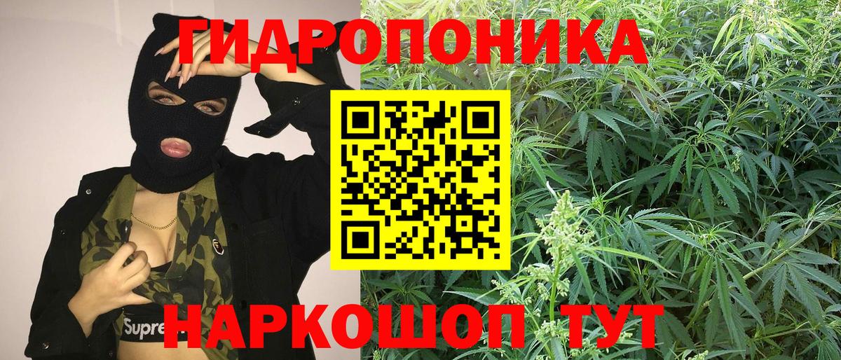 Бошки марихуана Bruce Banner  Вход с VPN  Сорочинск  МАРИХУАНА Bruce Banner  Бошки марихуана тримм 